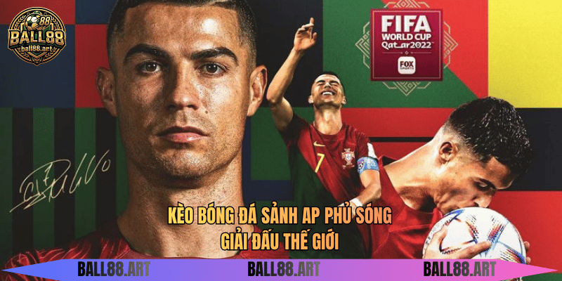 Sảnh AP - Kho Kèo Thể Thao Đa Dạng Hấp Dẫn Nhất Kèo bóng đá sảnh AP phủ sóng giải đấu thế giới